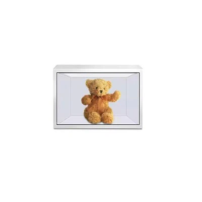 Mini Transparent Display